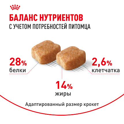Royal Canin Dachshund Adult Корм сухой для взрослых собак породы Такса от 10 месяцев, 7,5 кг